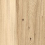 Elm