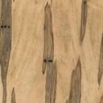 Wormy Maple